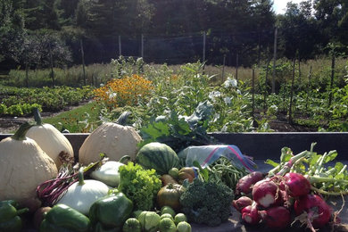 This is an example of a large transitional partial sun backyard stone vegetable garden landscape in New York for spring.