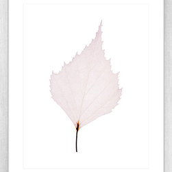 Fragile Leaves Collection - Framed Art Prints (FRAG05) - Artwork