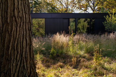 Modern one-storey black house exterior in Chicago with metal siding and a flat roof.