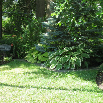 Egbert Street Garden