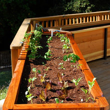 Deck Planter Railing Back