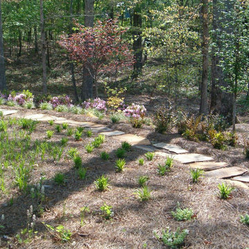 Our Landscape Projects
