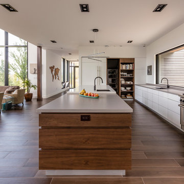 Fitzhenry Residence
