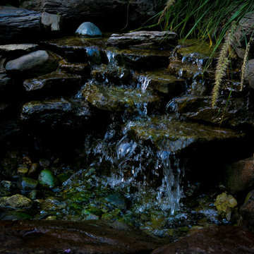 Washington DC Water Feature, Garden, & Arbor