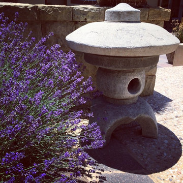 Montecito Drought Garden