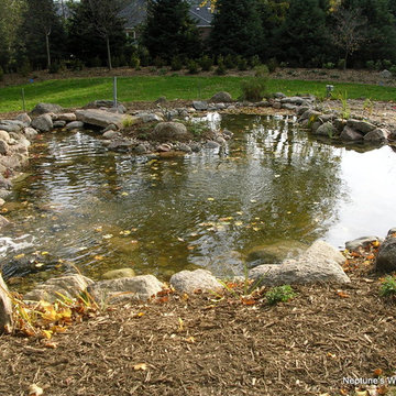 Koi Ponds and Water Gardens
