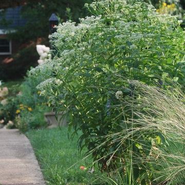 Front & Backyard Garden