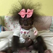Foto von Alona Kovalenko