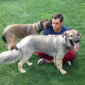 Tyler Jensen's photo