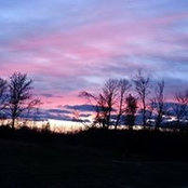 Kathy Bachhuber's photo