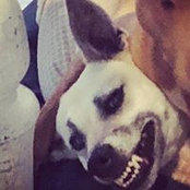 Allison Russo's photo