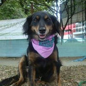 Mala Cara's photo