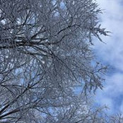 April Kelly's photo