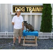 Wendy Boorstein's photo