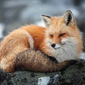 Foto von Cathrine Lomprey