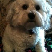 Kathryn Kowal-Wilzoch's photo