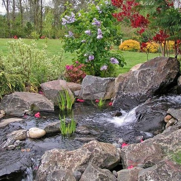 Scenic Landscapes