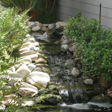 North Tustin Koi Pond