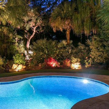 Backyard Lighting Landscape Around Pool