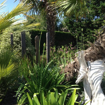 Jardin et piscine