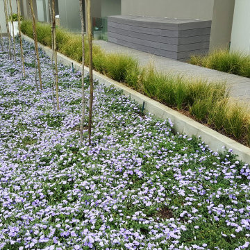 Gorgeous Gardens planters, raised flower beds