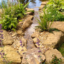 Pond scape