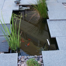 pond