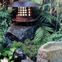 Landscape Ideas