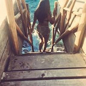 Daniela Mendoza's photo