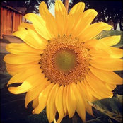 Michele's photo