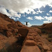 Megan Oelstrom's photo
