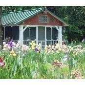 Linda Roberts's photo