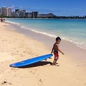 Leashlok Hawaii's photo