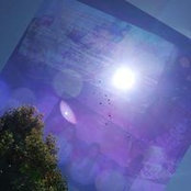 Bettina Williams's photo
