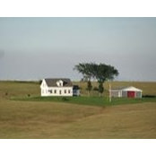 Lewis Farrell's photo