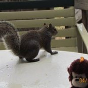 Barbara Alguire's photo
