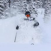 Peter Stangls foto