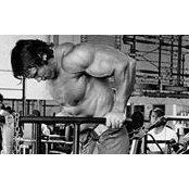 Xavier Morvan's photo