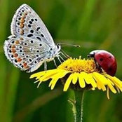 Foto von Leslie Becker