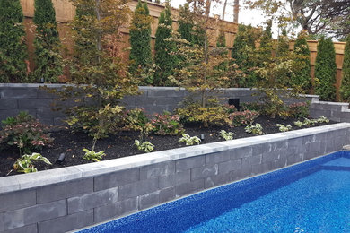 Minimalist pool photo in Toronto