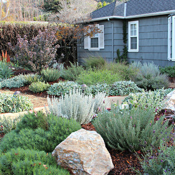 Mediterranean Cottage Garden