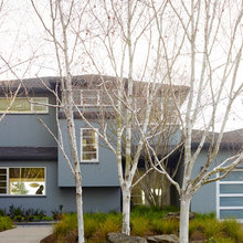 House Paint Colors