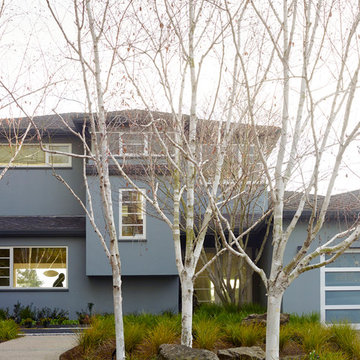Oakland Hills Hideaway