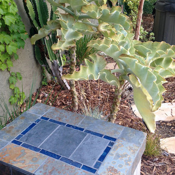 Mystical Habitat Garden