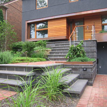 landscaping in back