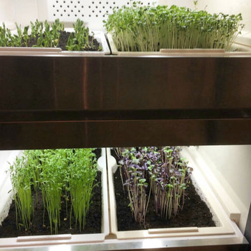 Design Ideas Featuring Urban Cultivator™