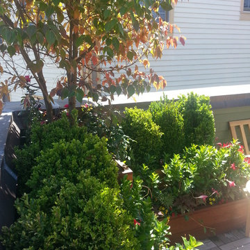 Roof Deck