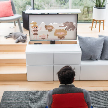 Kid's Entertainment Room
