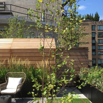 Chelsea Rooftop Garden I