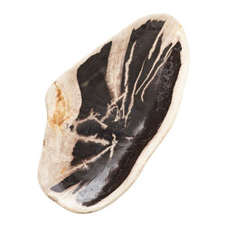 PETRIFIED WOOD TRAY - Decorative Bowls